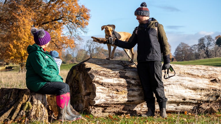 A mother and baby sit in a coat and hat watching a husband and dog play with a stick on a large log, with autumn trees behind them.